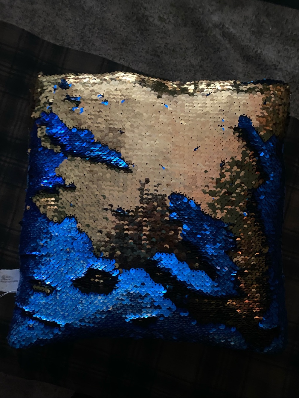 Blue and Gold Sequin Throw Pillow